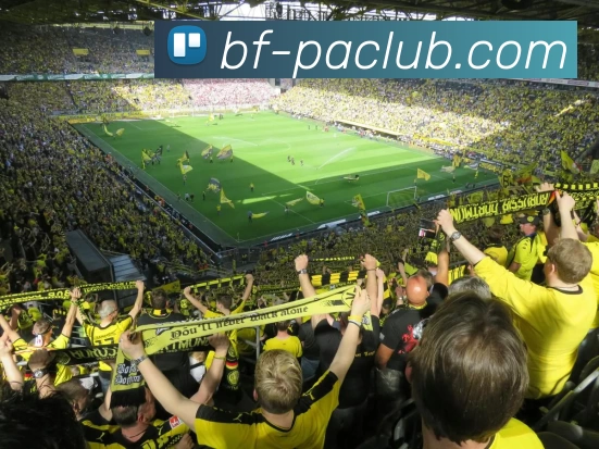 PA集团体育APP 高清赛事图